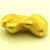 2,080 Gramm NATRLICHER GROSSER GOLD NUGGET GOLDNUGGET mit Echtheitszertifikat