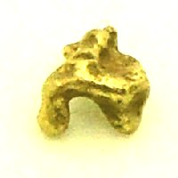 Bild von 0,350 Gramm  NATÜRLICHER MINI GOLD NUGGET GOLDNUGGET mit Echtheitszertifikat